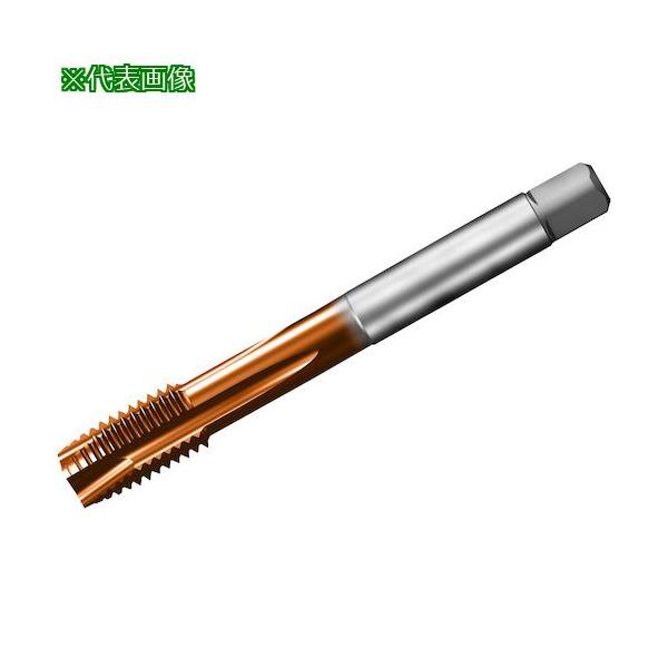 □SANDVIK コロタップ200 ポイントタップ(781) C110【3268537:0】[送料