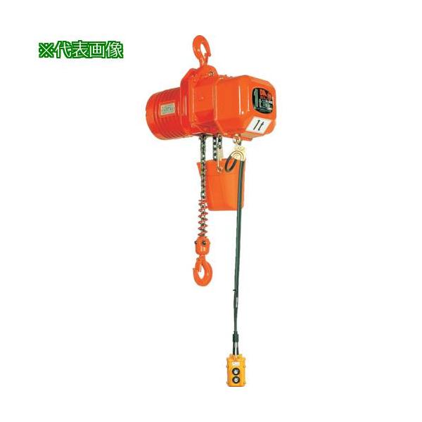 卸売 チェーンブロック 3m 1500kg 1.5t 1t 手動式 荷締機 683 nmef.com
