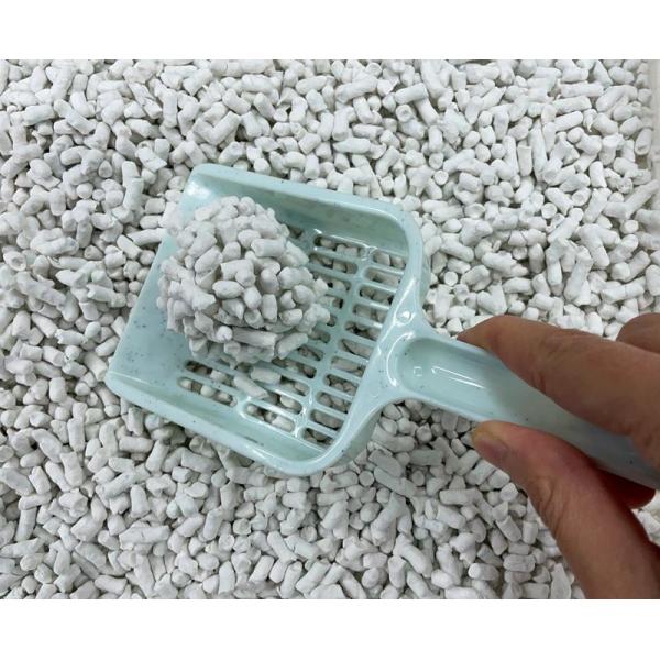 hcvalor_vh-2133902800008_2