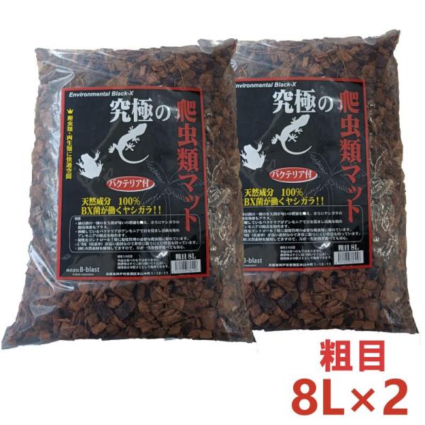 バクテリア付き！天然成分100％のヤシガラとBX菌で優れた脱臭効果を発揮する爬虫類マットヤシガラ独特の形状が残っているのでリクガメにも適しています。納豆菌の一種のBX菌が匂いの増加を抑え、さらにヤシガラの脱臭効果もプラス。休眠しているバクテ...