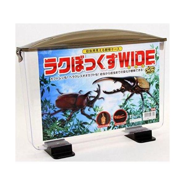 カブトムシもヘラクレスオオカブトも幼虫から成虫までの変化が観察できる【原産国】日本【原材料】本体・安定台：スチロール(PS)蓋：ポリプロピレン(PP)【使用方法】カブト虫の幼虫→成虫と成長する過程を観察できる防ハエフィルター付き薄型専用ケー...