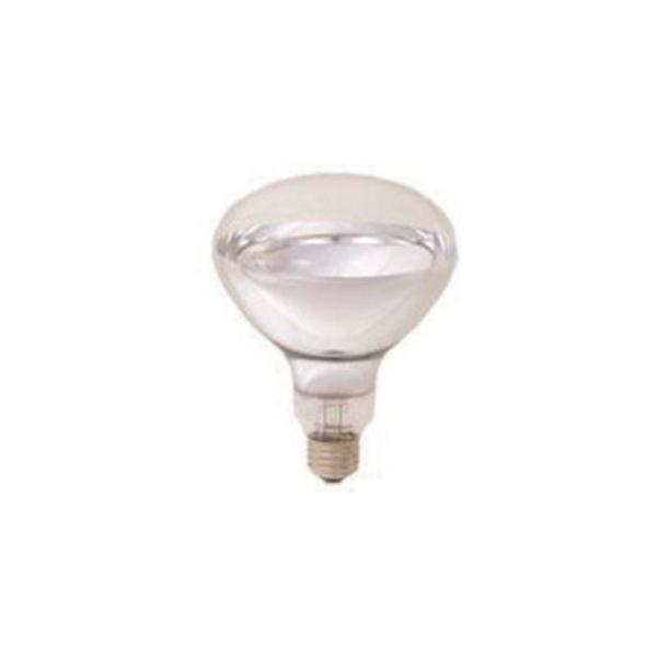 SALE／81%OFF】 岩崎 屋外用レフランプ 200W型 RS110V180WH 6個セット