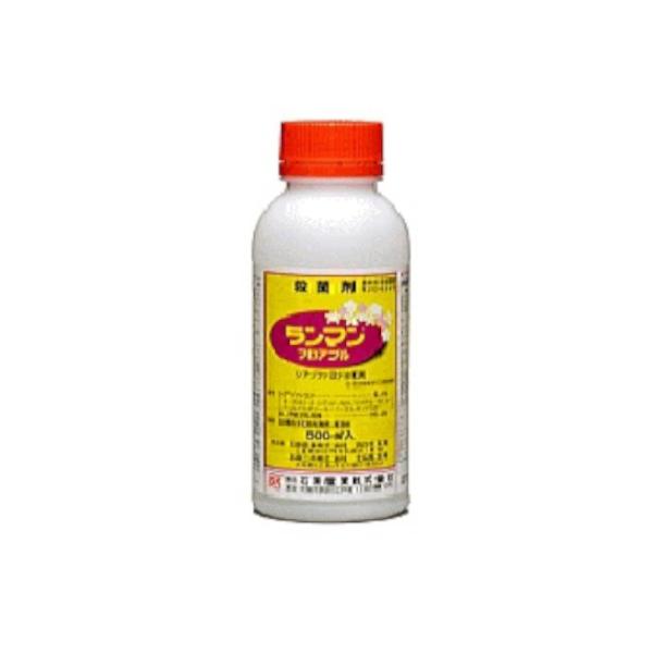 ΌoCITCGX }tAu 500ml