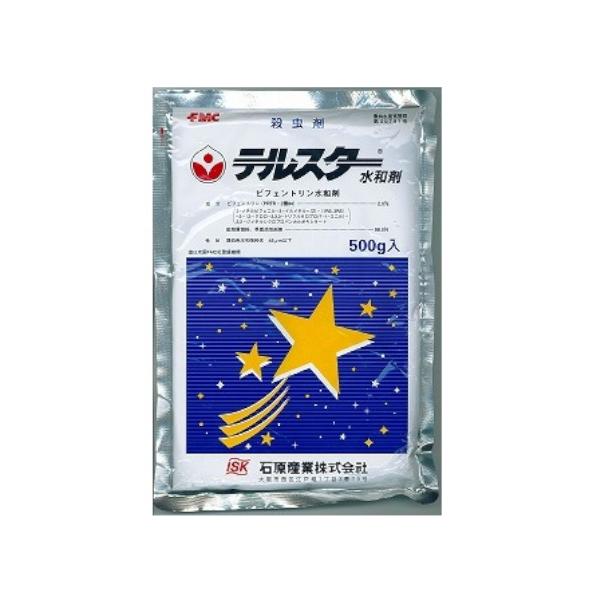 ΌoCITCGX eX^[a 500g