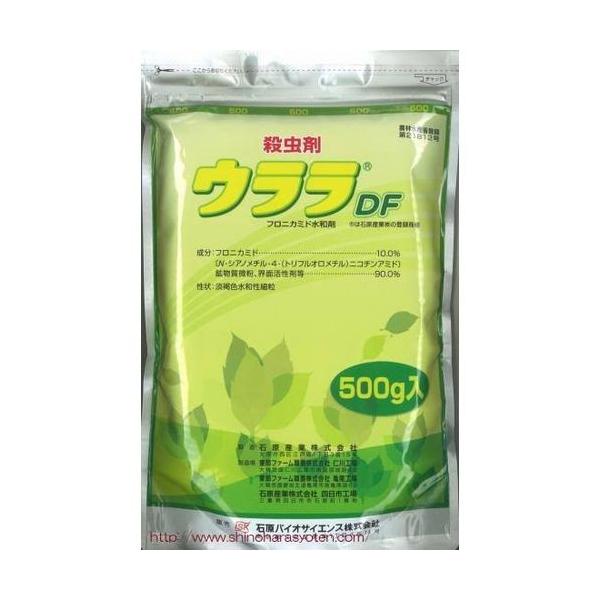 �Ό��o�C�I�T�C�G���X �E����DF 500g