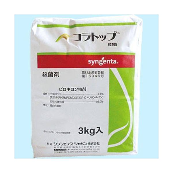 コラトップの人気商品・通販・価格比較 - 価格.com コラトップの人気商品・通販・価格比較 - 価格.com