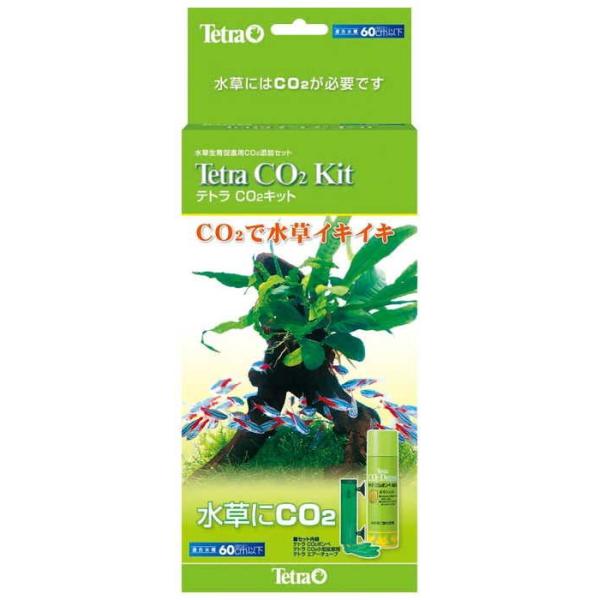 XyNguYWp eg CO2Lbg