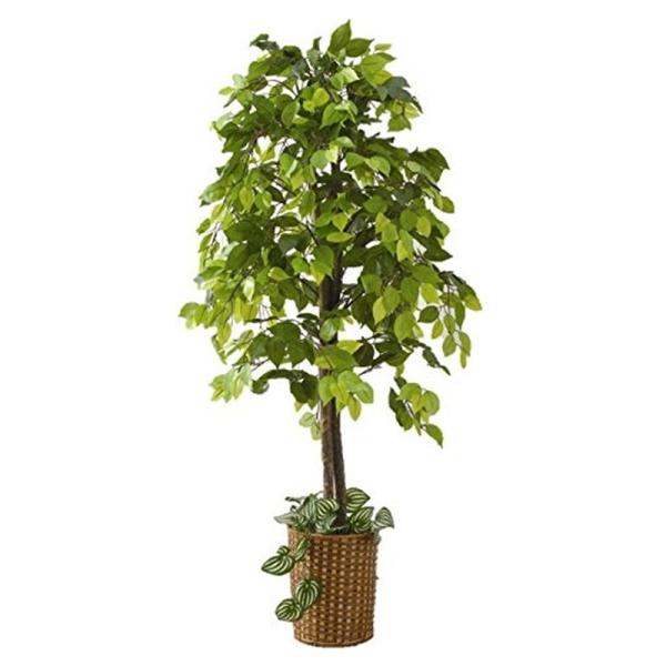 hcvalor_vh-4560258450485