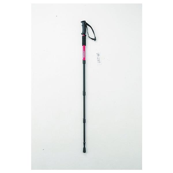 LveX^bO FBgbLOXebLxg4i RD UM-2317