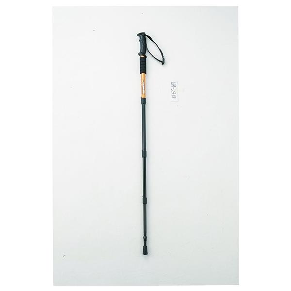 LveX^bO FBgbLOXebLxg4i YE UM-2318