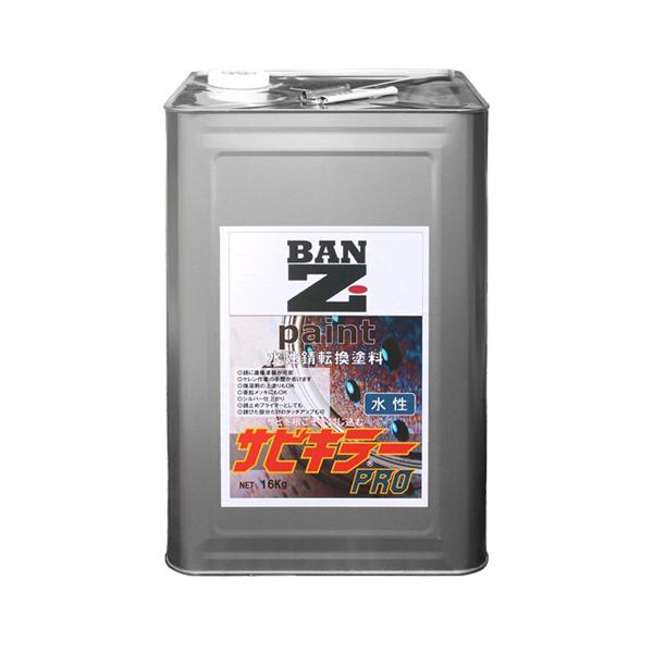 BAN-ZI TrL[v Vo[ Tr]h Tr~ߓh 16