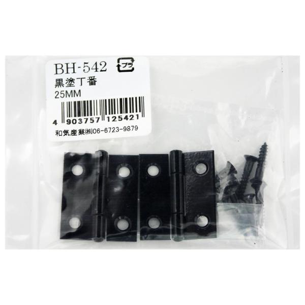 耐久性、耐候性に優れています。木製の扉から家具、小箱まで幅広い用途に。【サイズ】サイズ(mm):25【材質】鉄