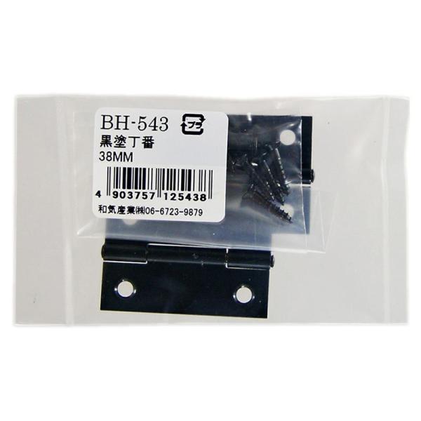 耐久性、耐候性に優れています。木製の扉から家具、小箱まで幅広い用途に。【サイズ】サイズ(mm):38【材質】鉄【付属品】木ネジ(Φ2.4×13mm):8本