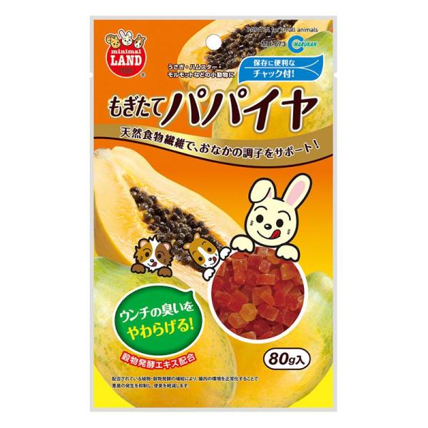 ミニマルフード(小動物) MR‐673 もぎたてパパイヤ ( セット) マルカン