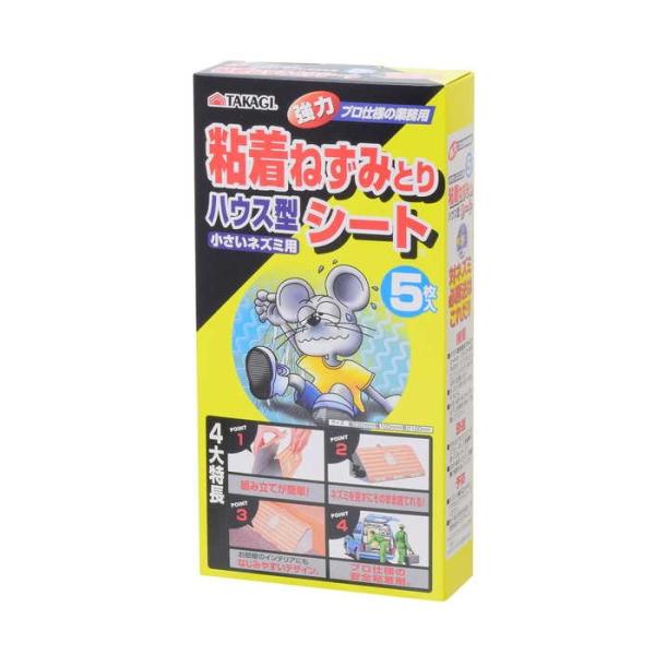 TAKAGI S˂݂ƂV[gnEX^