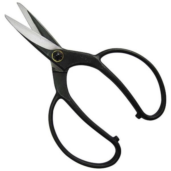 gn A lW BP NOD2025 [|  ؕ]