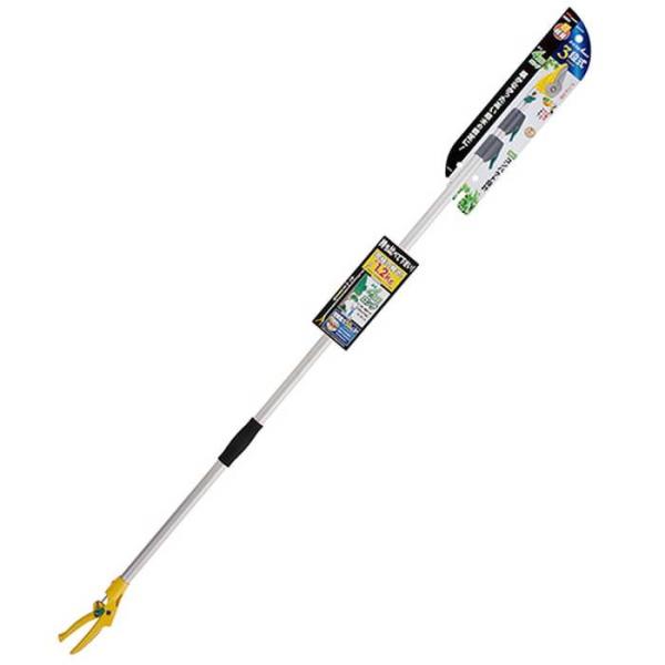 TV |[X4MO No380 [| } }؁i{j]