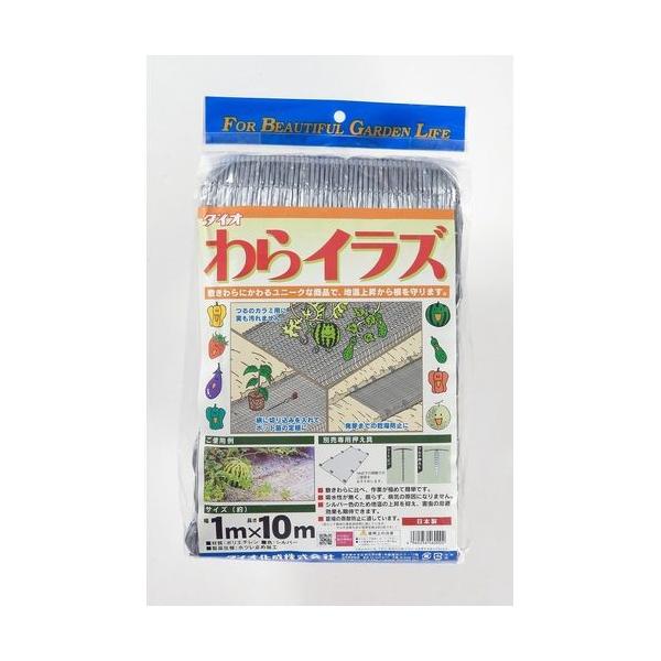 Dio(_CI) _CICY (F)Vo[ (TCY)1m×10m