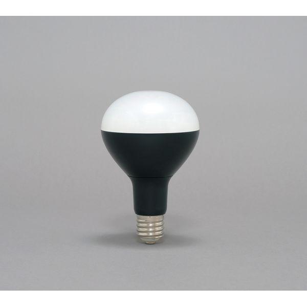 ACXI[} LEDdp5500lm LDR45D|H|E39