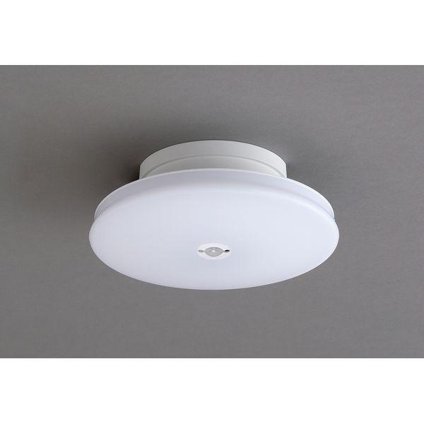�A�C���X�I�[���} LED���^�V�[�����O���C�g ���` 1200lm �����F �l���Z���T�[�t SCL12NMS�|UU