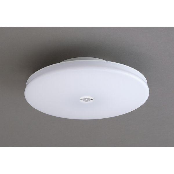 �A�C���X�I�[���} LED���^�V�[�����O���C�g ���` 2000lm �����F �l���Z���T�[�t SCL20NMS�|UU