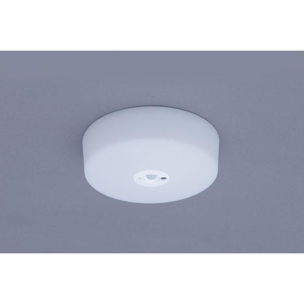 ACXI[} LED^V[OCg ^T[LbgV[Y600lm F lZT[t SCL6DMS-MCHL