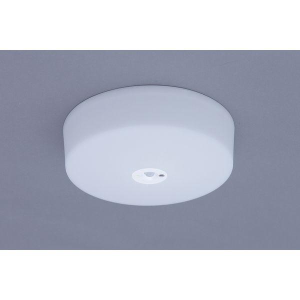 ACXI[} LED^V[OCg ^T[LbgV[Y1200lm F lZT[t SCL12NMS-MCHL