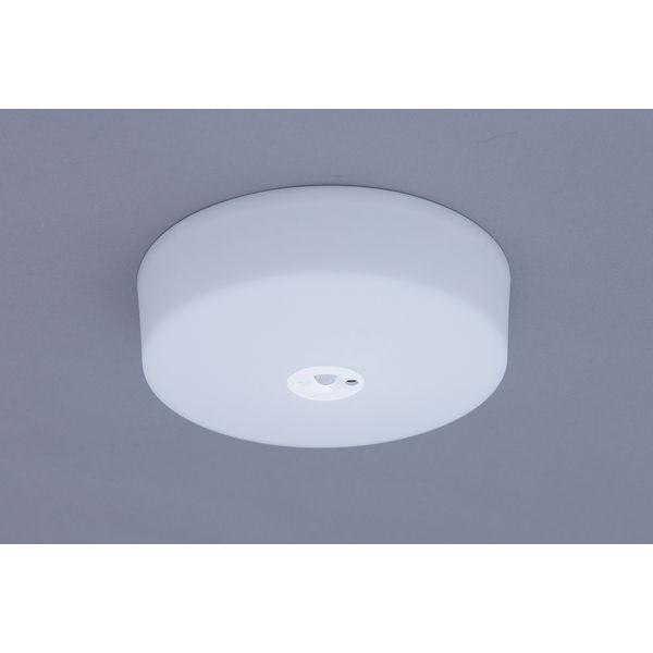 ACXI[} LED^V[OCg ^T[LbgV[Y1600lm F lZT[t SCL16DMS-MCHL