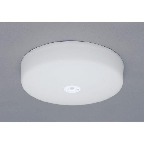 ACXI[} LED^V[OCg ^T[LbgV[Y2000lm dF lZT[t SCL20LMS-MCHL
