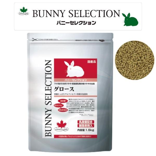 7ヶ月までの仔ウサギ・妊娠授乳期の母ウサギの主食栄養たっぷりアルファルファ牧草が主原料●初乳の主成分であるヌクレオチドを配合し、元気なウサギに育つよう配慮しています。●良質なたん白質や高代謝エネルギーの必要な、離乳から7ヶ月までの発育中の仔...