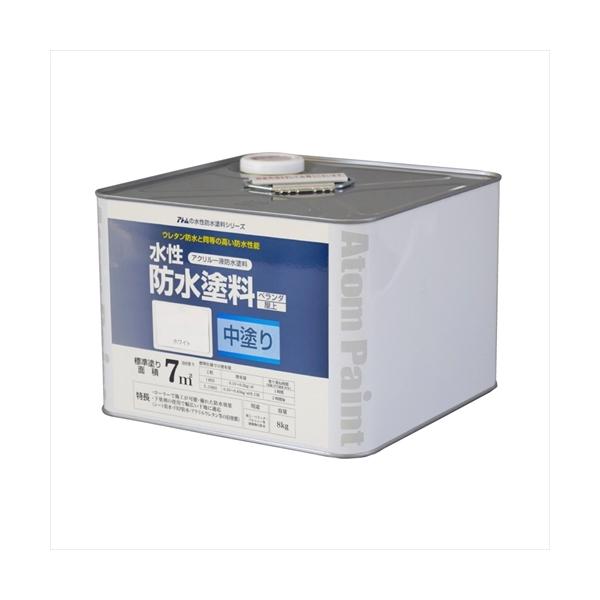 AgnEXyCg hh h zCg 8kg