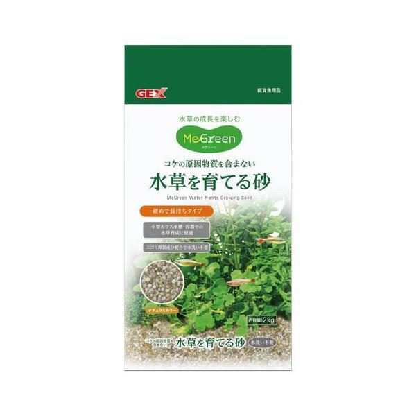 水草、E. ライナーズフェリックス (1株)送料無料 エキノドルスの仲間 – e-scape online