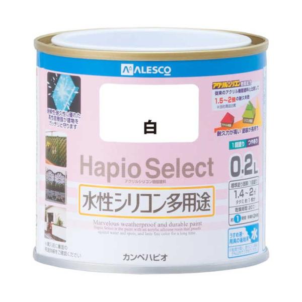 ���i�摜