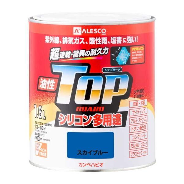 ���i�摜