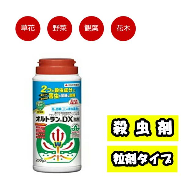 他サイト： 住友化学園芸 オルトランDX粒剤 200gの商品画像