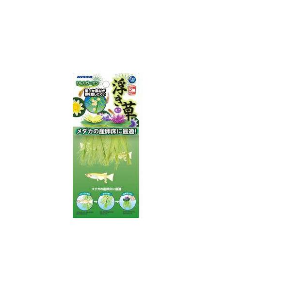 水槽 浮き草の人気商品 通販 価格比較 価格 Com