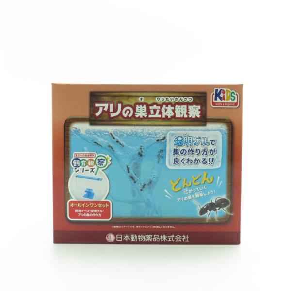 アリの巣　観察セット×4 Amazon.co.jp: アリの巣 アリ飼育キット 蟻観察セット アリ観察