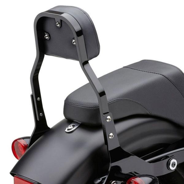 ハーレーダビットソン　コブラシートとシーシーバーのセット コブラ 602-2024B COBRA デタッチャブル・シーシーバーセット 11