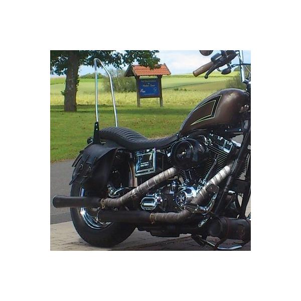 Westland Customs スポーツスター用シーシーバー汎用サイドプレート ブラック