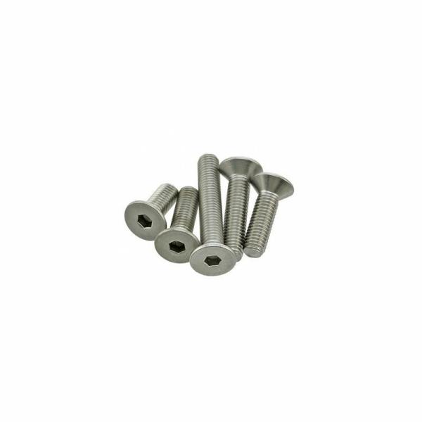 ドラッグSP DS192359-10 フラットヘッド ボルト 1/4-20X3/4 スチール製