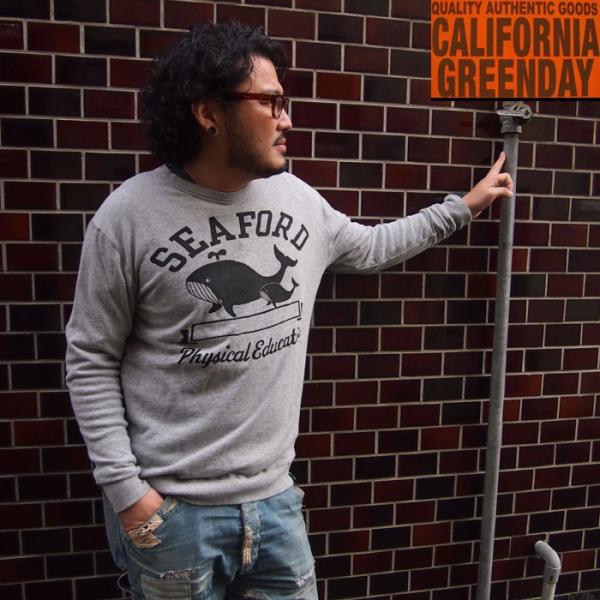 CALIFORNIA GREENDAY JtHjAO[fC  MODEL-SEAFORD Sg[i[ 4colors (NHF-14AW-006) AW14MT