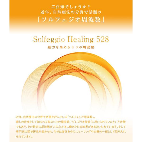 healingplaza_dlen-202_1_d_20240214112842