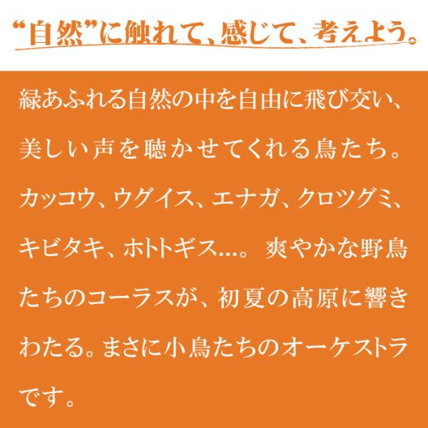 healingplaza_dlns-206_1