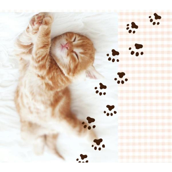 healingplaza_dlor-603_4_d_20230623162205