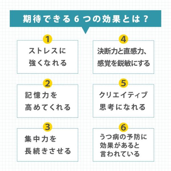 healingplaza_dlsr-122_3