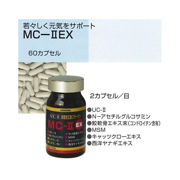 ֐߂̂ہ[ƂɁ@tb-IIiϐII^R[Qjz@MC-2 EX@60JvZ@܂Ƃ߂2@