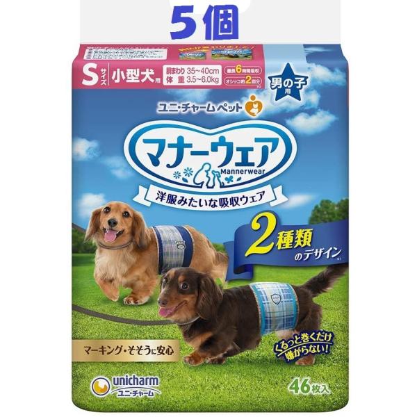 j`[ }i[EFA j̎qp STCY 46 TZbg