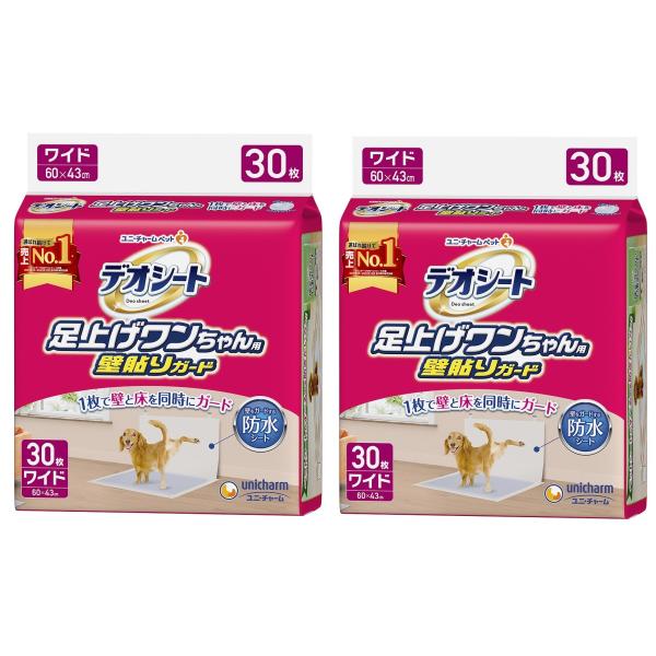 jE`[fIV[gグpǓ\K[hCh@30 QZbg