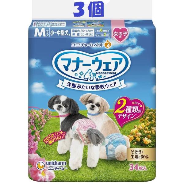 j`[ }i[EFA ̎qp MTCY -^p 34 RZbg