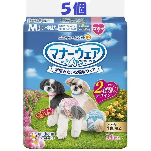 j`[ }i[EFA ̎qp MTCY -^p 34 TZbg